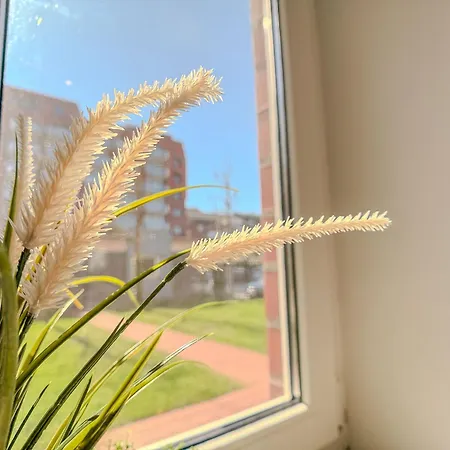 Strandkoerbchen Nr 3 - * Schillig