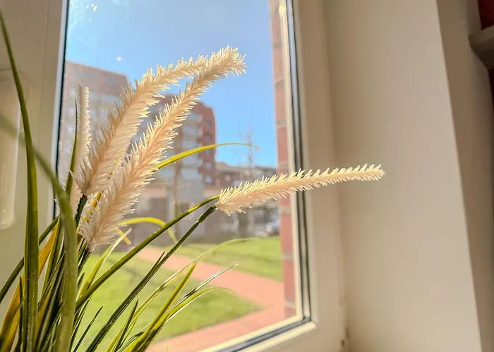 Strandkoerbchen Nr 3 - * Schillig